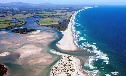 Taree